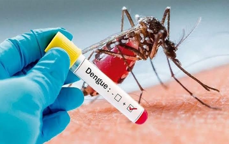 Dengue death toll crosses 1000-mark in Bangladesh
