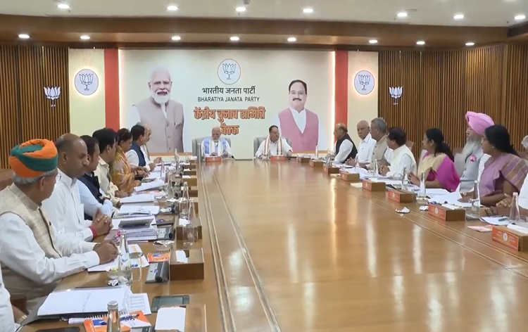 PM Narendra Modi chairs BJP CEC meeting
