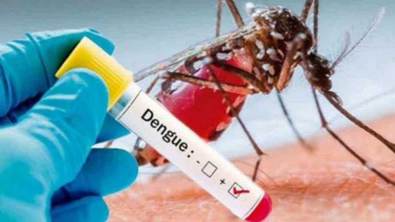 डेंगू के बढ़ते मामलों को देखते हुए रांची के सदर अस्पताल में डेंगू की जांच मुफ्त करने की व्यवस्था शुरू