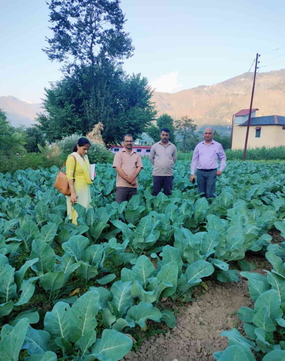 कृषि विभाग द्वारा किसानों को विभिन्न फसलों के सुधरी किस्मों के बीज 50 प्रतिशत अनुदान पर उपलव्ध करवाए जाते हैं–उपनिदेशक