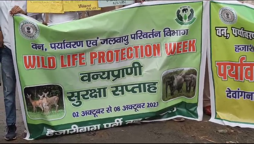 सरायकेला खरसावां जिले के चांडिल प्रखंड अंतर्गत दलमा वाइल्ड लाइफ सेंचुरी में 2 से 8 अक्टूबर तक वन्य प्राणी सप्ताह मनाया जा रहा है