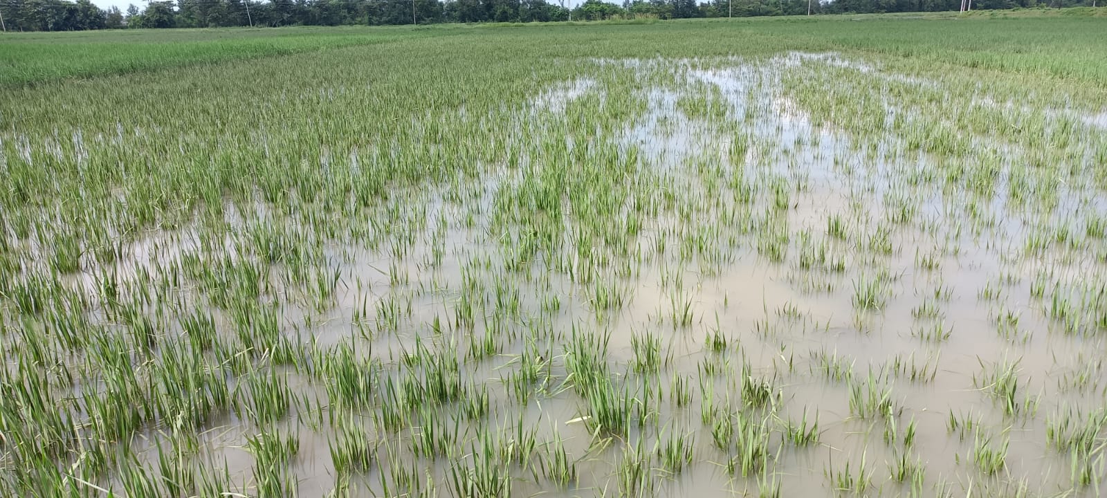 बिहार:  कैमूर में नदियों के जलस्तर में कमी के साथ स्थिति सामान्य हो रही है