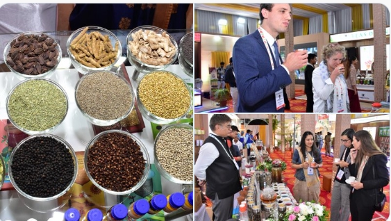 G20: Third Trade and Investment Working Group Meeting concludes at Kevadiya, Gujarat