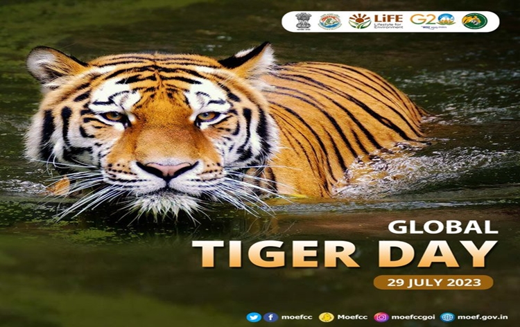 Global Tiger Day being celebrated today to raise awareness about one of the majestic species of planet Earth