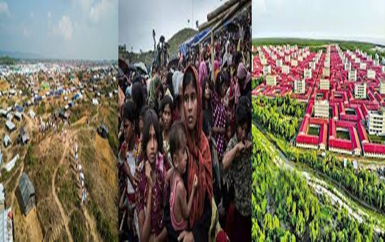 Bangladesh urges Islamic world to mobilise global support for Rohingya return