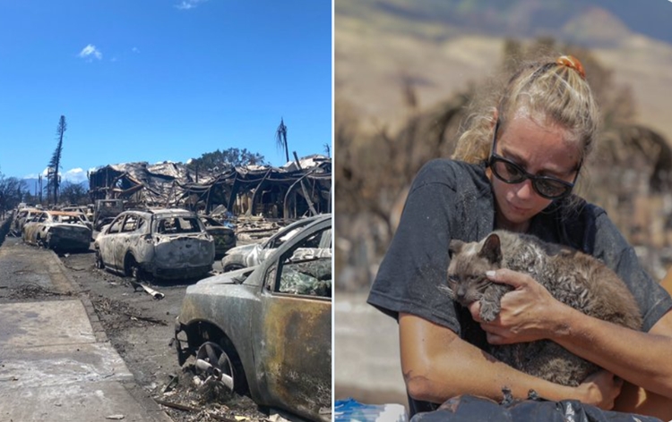 India expresses its solidarity with United States over Hawaii wildfire resulting in 89 deaths