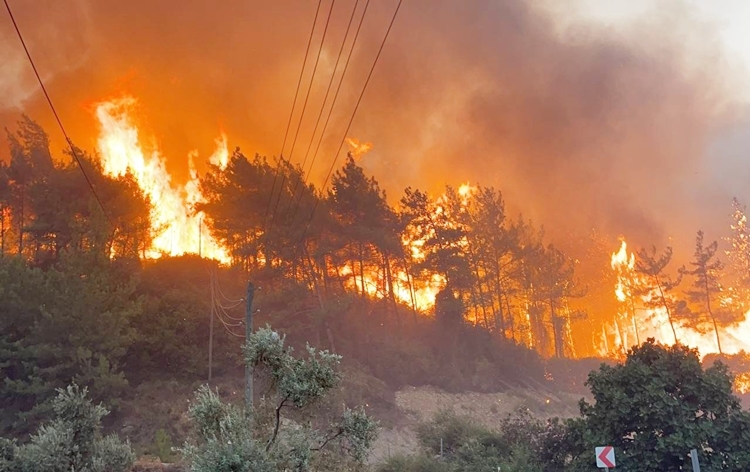 Europe: More people evacuated as wildfire raging in north of Spanish island of Tenerife remained out of control