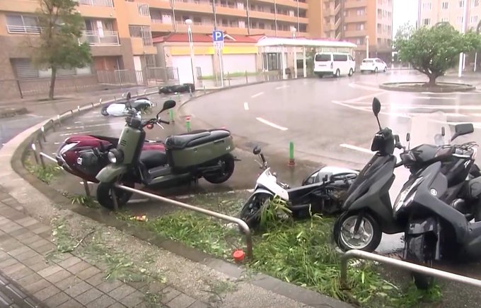 Japan: Typhoon Khanun hits power lines in Okinawa leaving more than two lakh households without electricity