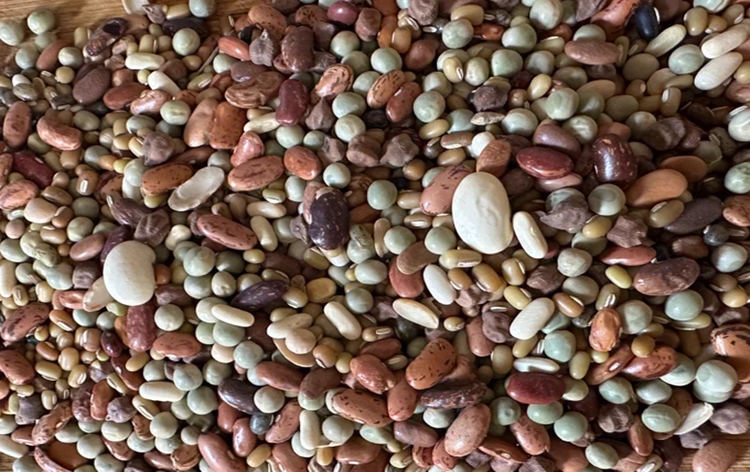 Nepal: Hindu Community celebrates Janai Purnima today