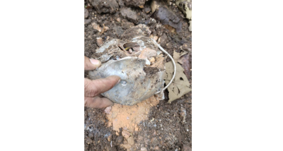 छत्तीसगढ़ के कांकेर जिले में गश्त पर निकले बीएसएफ के जवानों ने कोयलीबेड़ा से अंतागढ़ मार्ग के बीच माओवादियों द्वारा लगाए गए आईईडी बरामद किया