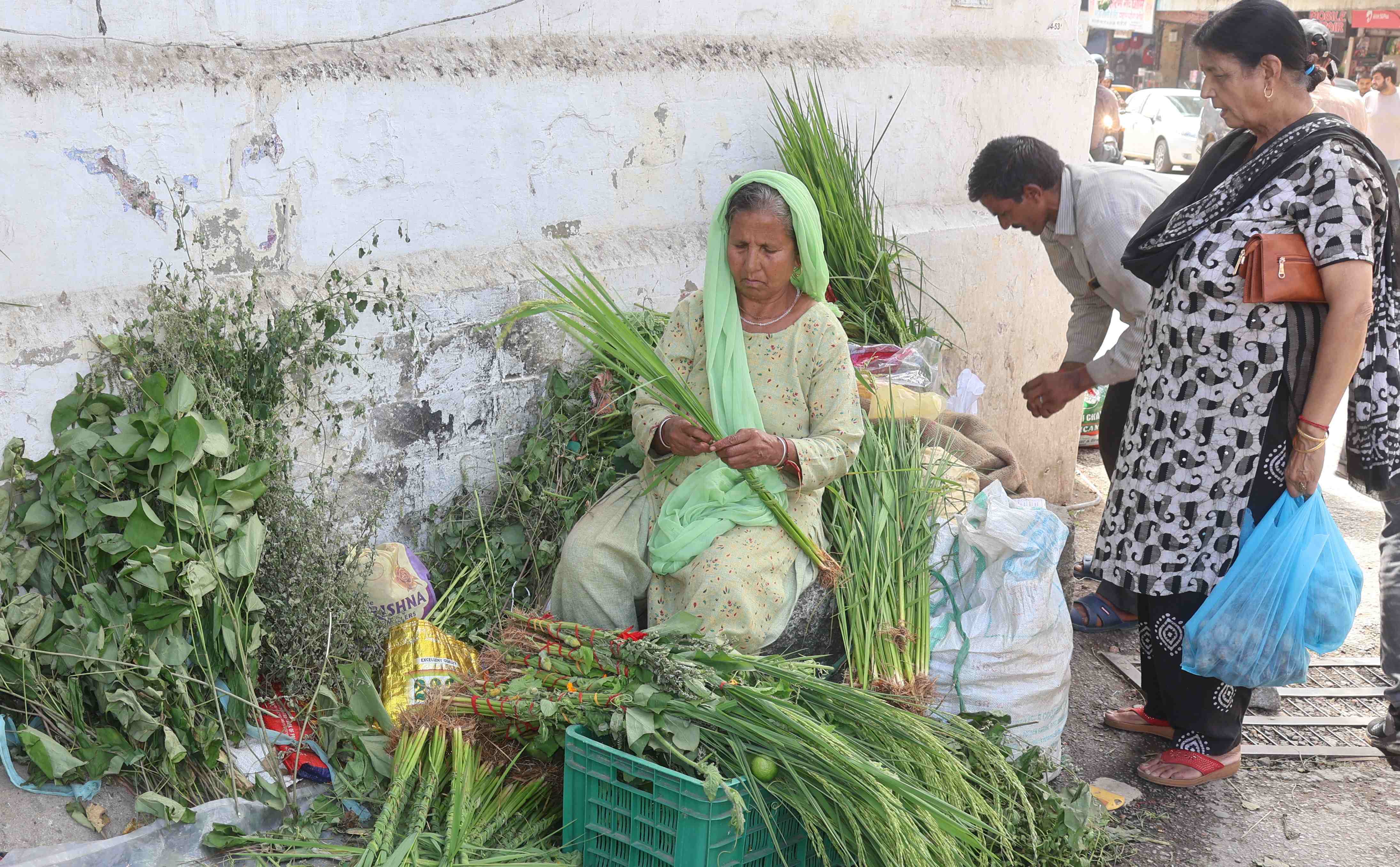 मंडी जनपद में सायर का त्योहार रविवार को जिलेभर में धूमधाम और उल्लास के साथ मनाया जाएगा