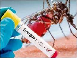 झारखंड में डेंगू और चिकनगुनिया के मरीजों की संख्या बढ़ी