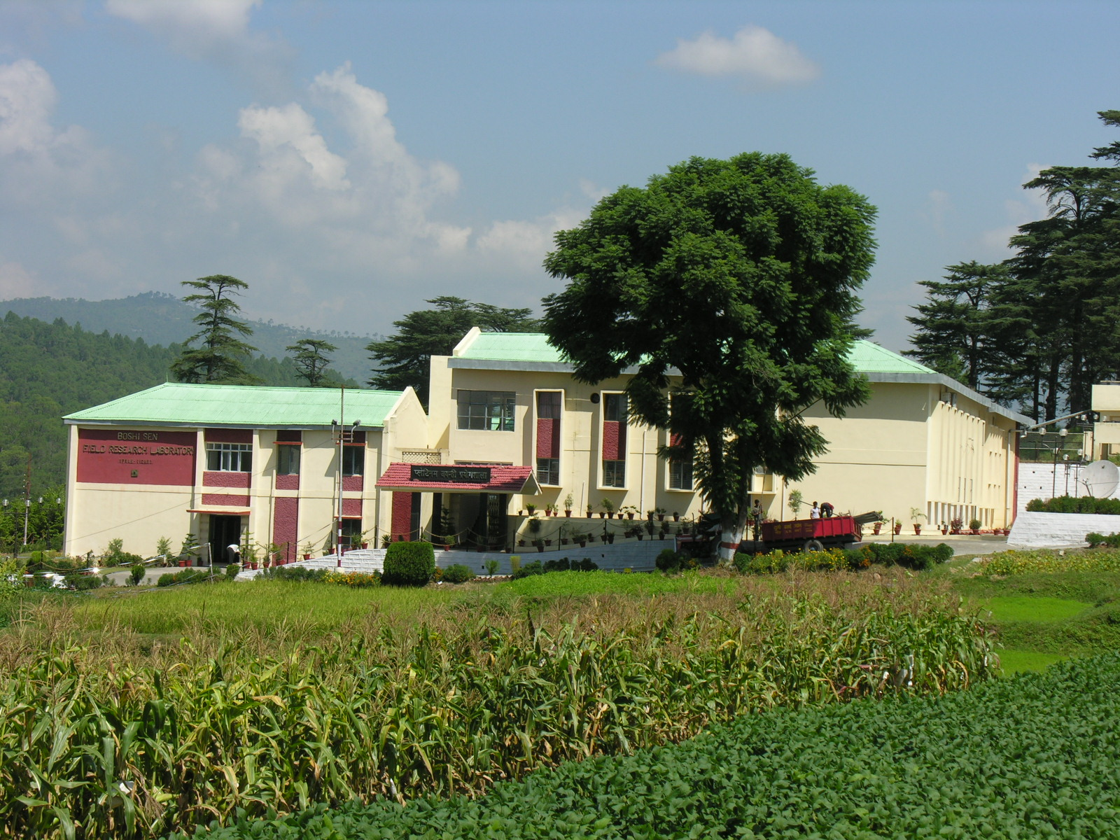 अल्मोड़ा के विवेकानंद पर्वतीय कृषि अनुसंधान संस्थान ने मंडुवा की 15 और झंगोरा की 7 नई प्रजातियां विकसित की