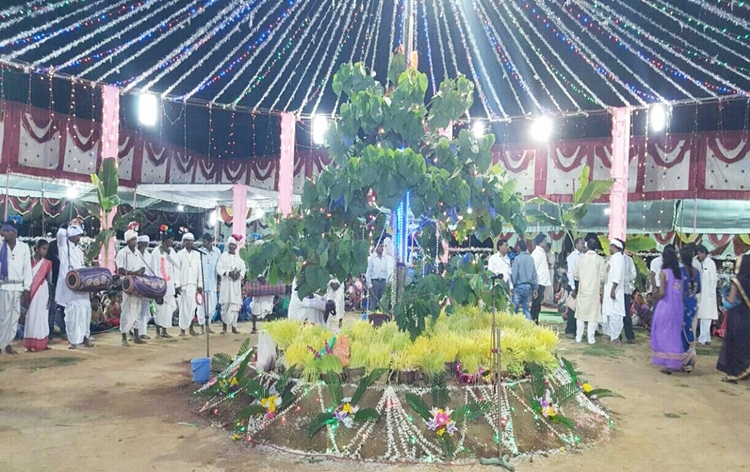 झारखंड में फसलों, प्रकृति की पूजा तथा भाई और बहन के बीच प्‍यार के बंधन से संबंधित अत्‍यंत लोकप्रिय महोत्‍सवों में से एक कर्मा पूजा मनायी जा रही