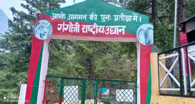 गंगोत्री राष्ट्रीय उद्यान सहित कई वन्य जीव विहारों के प्रवेश शुल्क में हुई बढ़ोतरी