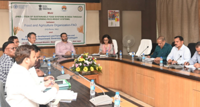 बलरामपुर और दंतेवाड़ा में गेहूं और चावल के उत्पादन को प्रोत्साहित करने के लिए विशेष कार्यक्रम चलाया जाएगा