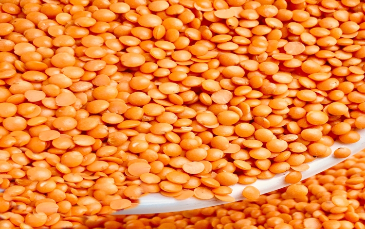 त्योहारी सीजन के दौरान कीमतों पर अंकुश लगाने के लिए केंद्र ने तत्काल प्रभाव से मसूर दाल के अनिवार्य भंडारण का परामर्श जारी किया